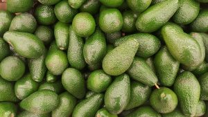 How Are Avocados Transported To The US From Mexico