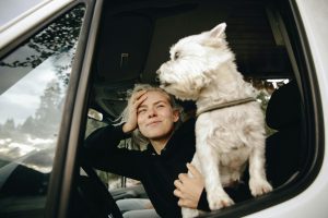 Is It Illegal To Drive With A Dog In Your Lap In Georgia