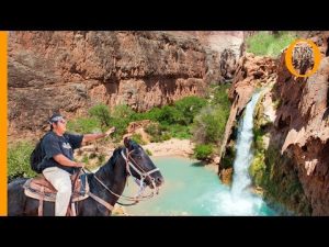 What Town Is Havasupai Falls Near