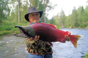 Which Is Better Salmon Or Halibut 